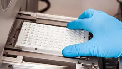 Gloved hand placing a white microplate into laboratory equipment.