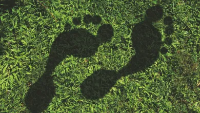 Human footprints shaped as shadows on green grass, symbolizing environmental impact.